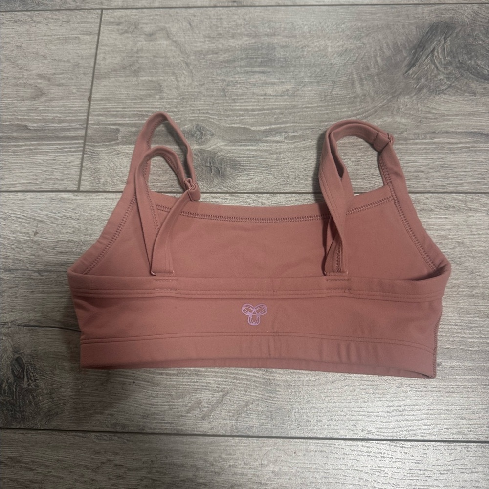 2XS tumbler aritzia sports bra